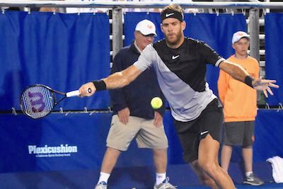 juan martin delpotro